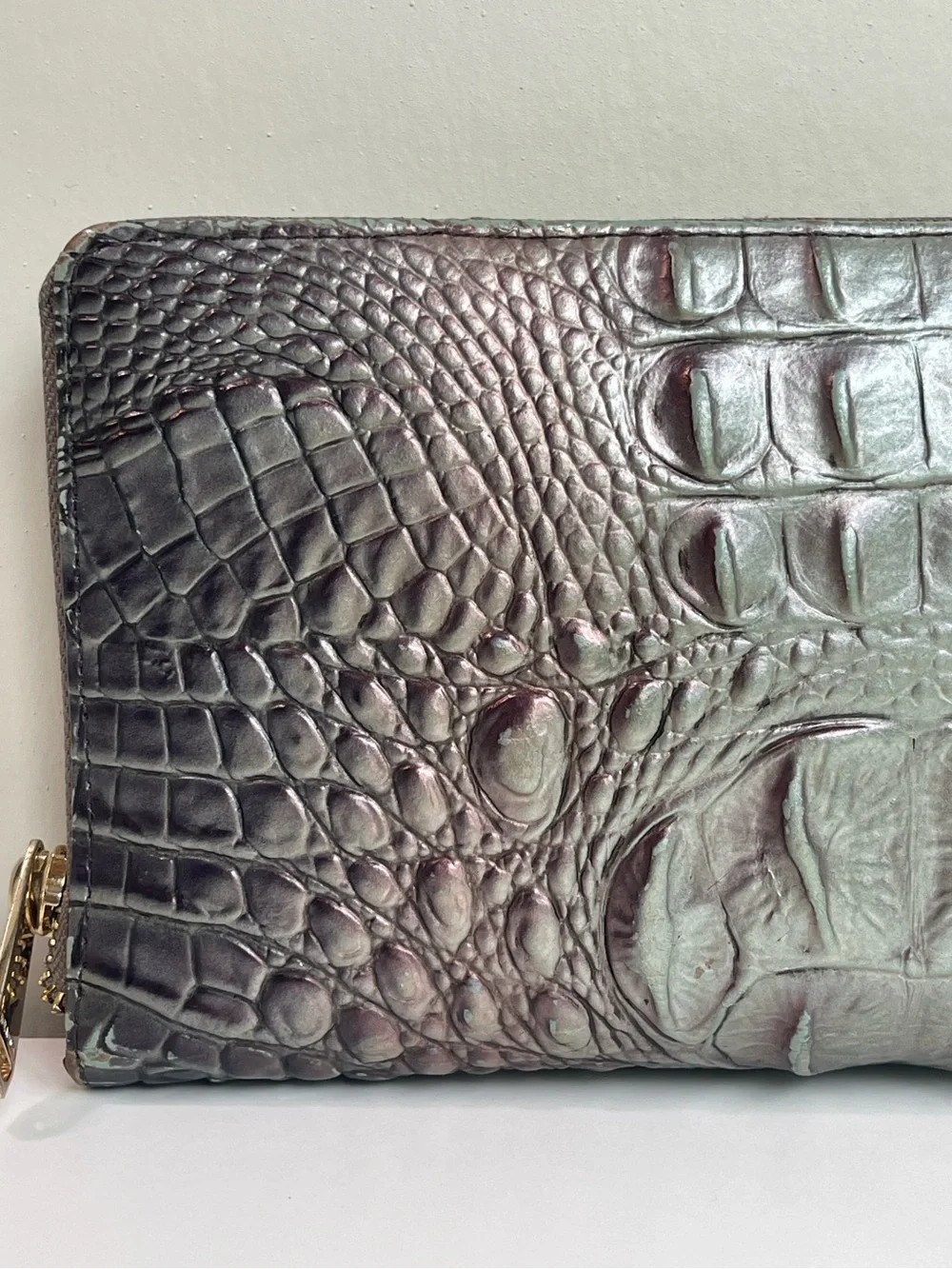 Brahmin The Skyler Clutch